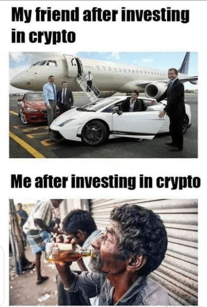 Bull